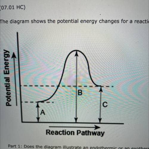 PLEASE HELP QUICKLY

The diagram shows the potential energy changes for a reaction pathway (10 poi