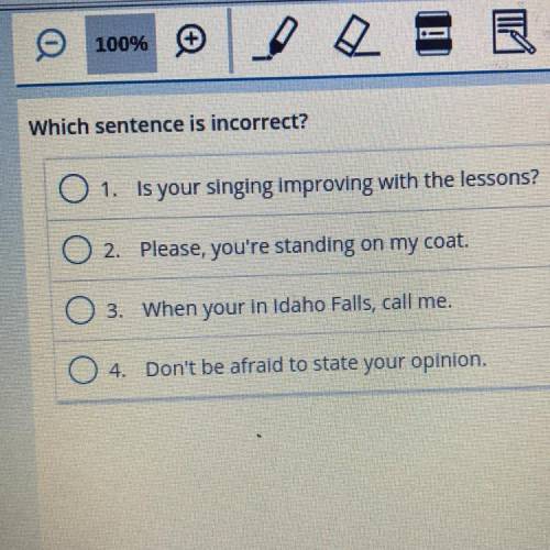 Which sentence is incorrect