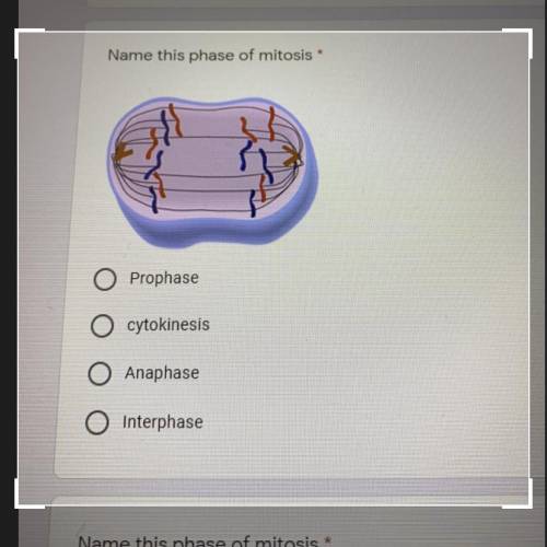 *
Name this phase of mitosis
Prophase
cytokinesis
O Anaphase
Interphase