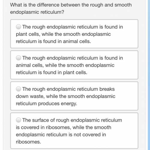 What is the difference between the rough and smooth endoplasmic reticulum?