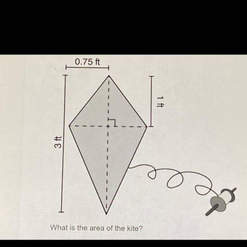 PLEASE SOLVE what is area of kite