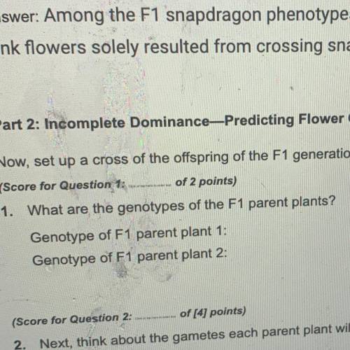 1. What are the genotypes of the F1 parent 
PLZ HELP !