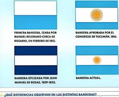 Que diferecias se observan en las distintas banderas ? Gracias