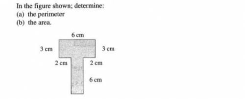 What is the area and the perimeter of this figure?

someone plzz helpp mee !show full working outs