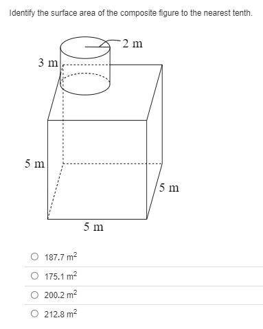Identify the surface area of the composite figure to the nearest tenth.