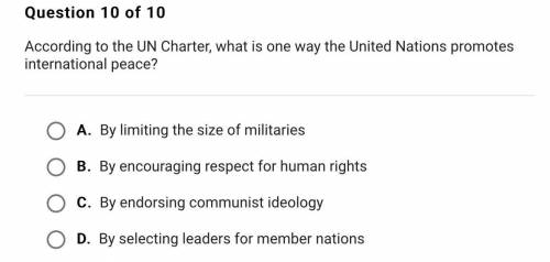 According to the UN Charter, what is one way the United Nations promotes international peace?