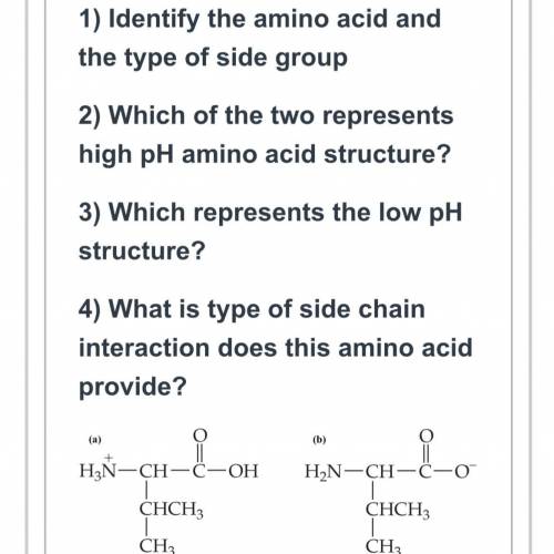 1) Identify the amino acid and

the type of side group
2) Which of the two represents
high pH amin