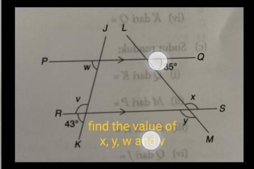 Find the value of x, y, v and w​