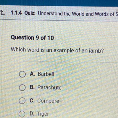 Which word is an example of an iamb?
