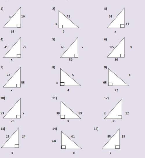 PLEASE HELP
Pythagorean Theorem