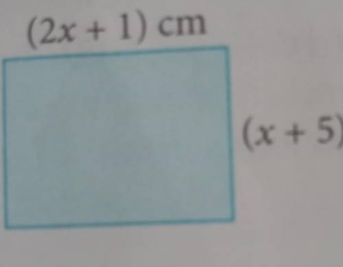 The diagram shows a rectangle. If the perimeter of the rectangle is 66 cm, what is the area of the