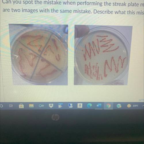 Can you spot the mistake when performing the streak plate method? Below

are two images with the s