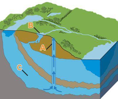 Use the drop-down menus to identify the labeled groundwater features.

Label A Label B Label C