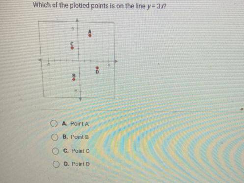 Which of the plotted points is on the line y=2x?
Point A
Point B
Point C
Point D