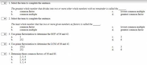 Can someone answer it multiple questions only 5 due in 10 mins