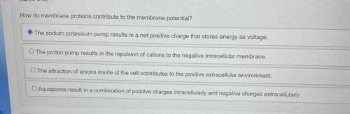 Helpppppp please!!! How do membrane proteins contribute to the membrane potential?