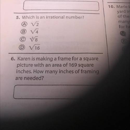 Can some one help with these 3 questions