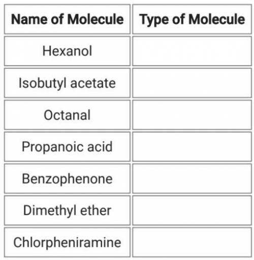 Question 3: Functional Groups
Identify the type of molecule from the name of the molecule.