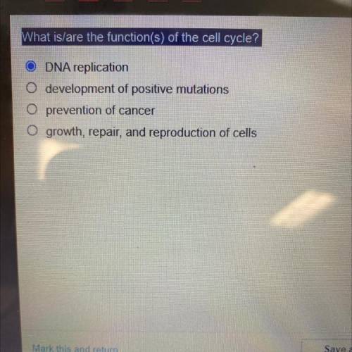 What is/are the function(s) of the cell cycle?