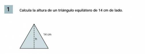 Calcula la altura del triangulo equilatero de 14 de lado