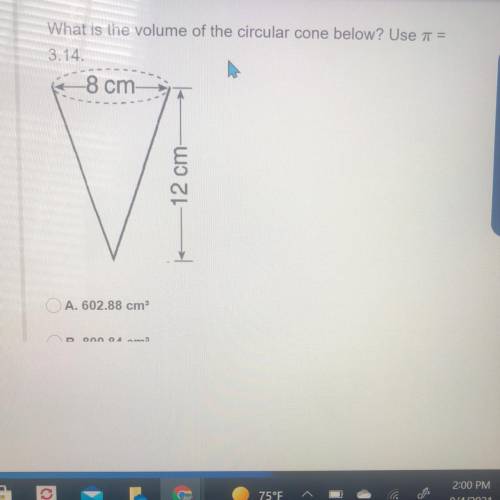 What is the volume of the circular cone below?
