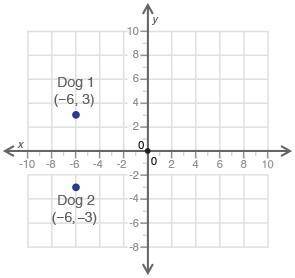 PLEASE HELP ME

Points (−6, 3) and (−6, −3) on the coordinate grid below s