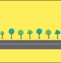 Along a stretch of road, trees are placed at regular intervals. The distance between the first and