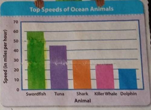 Give three equivalent rates that describe the top speed of a tuna.​