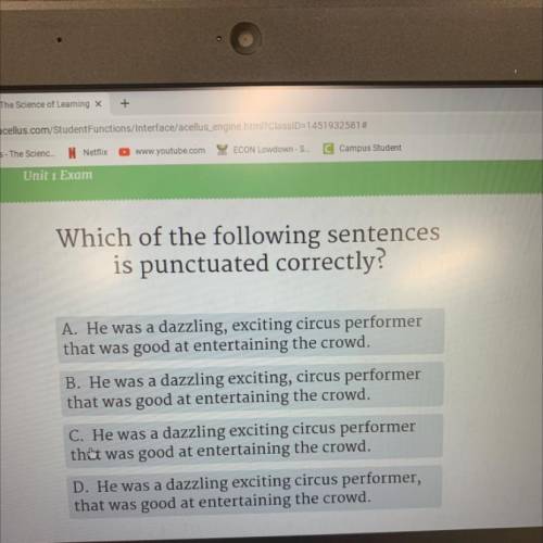Which of the following sentences

is punctuated correctly?
A. He was a dazzling, exciting circus p