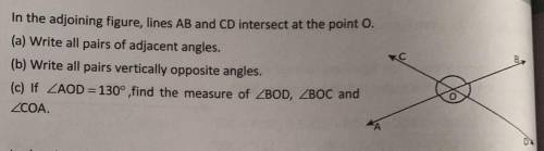 Please someone tell me the answer of these questions