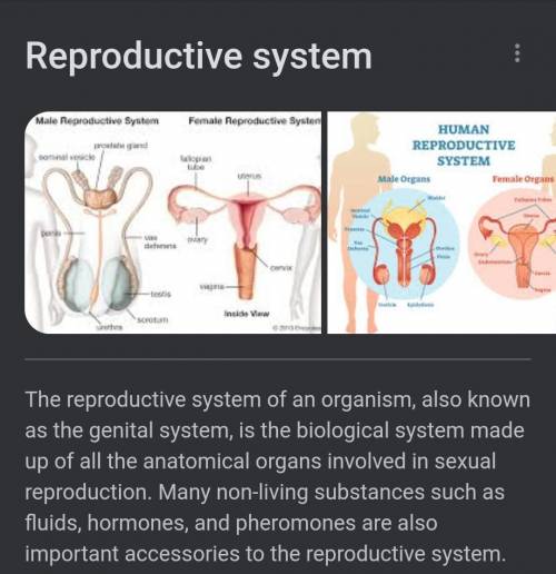 Reproduction system definition​