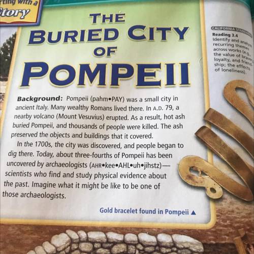 Please help giving  plus 100 points! (The buried city of Pompeii) Summarize Write a paragrap