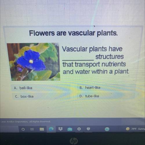 Flowers are vascular plants.

Vascular plants have
structures
that transport nutrients
and water w