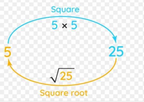 Square of square root of 25​