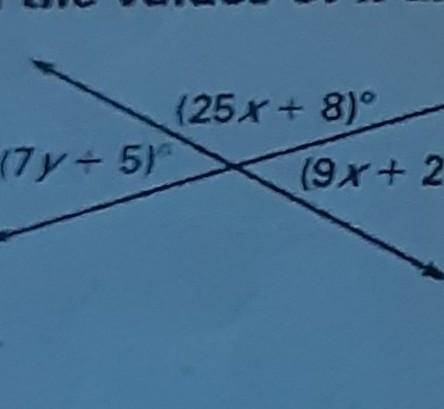 What is the value of x and y​