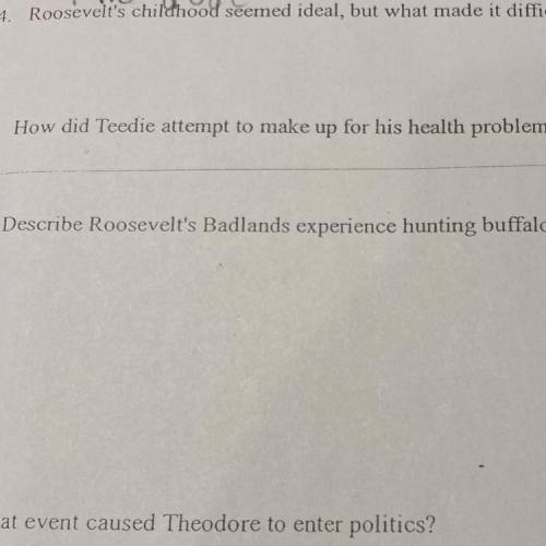 Describe Roosevelt's Badlands experience hunting buffalo