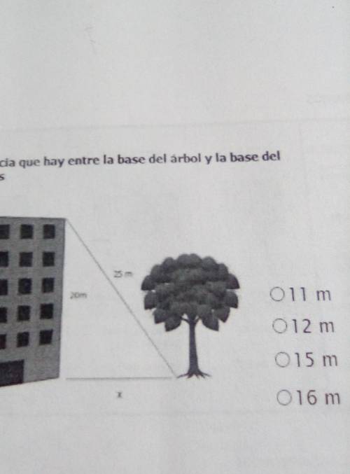 The distance between the base of the tree and the base of the building is:please​