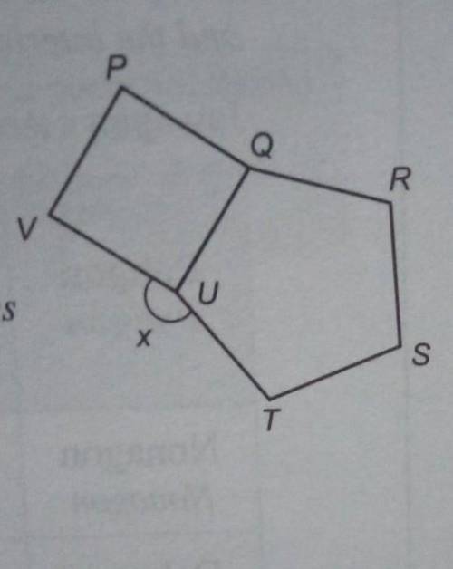 The diagram above shows a square PQUV and a regular pentagon QRSTU.Find the value of x.​