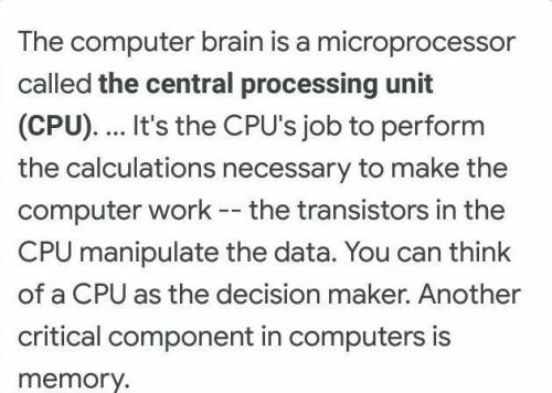 Software is the brain of computer. Explain this starement
