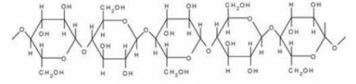Which type of carbohydrate is this?

A) Monosaccharide
B) Simple sugar
C) Complex carbohydrate
D)
