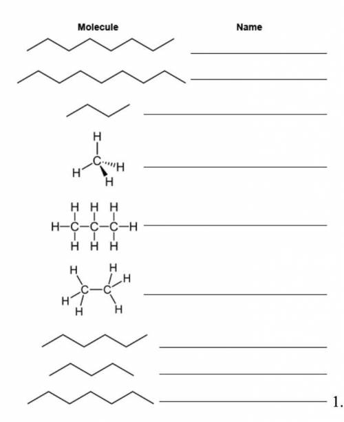 please help!! Question 2: Naming Hydrocarbons/ Write the name of the alkane next to the drawing of