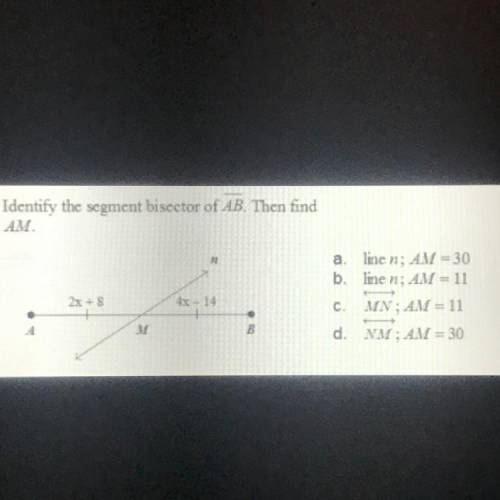 Identify the segment bisector if AB Then find AM
