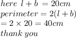 here \:  \: l + b \:  = 20cm \\ perimeter = 2(l + b) \\  = 2 \times 20 = 40cm \\ thank \: you