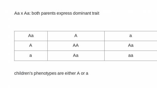 Submit your conclusions about the genotypes of the parents this trait, and an explanation of how yo