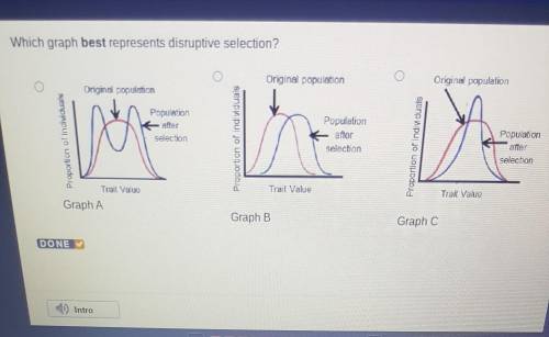 Which graph best represents disruptive selection? Original population Original population Original