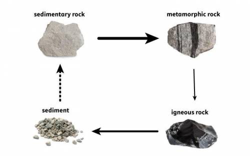 The diagram below shows part of the rock cycle

lable the diagram
a.heat and pressure
b, compactio