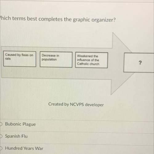 Which terms best completes the graphic organizer?

A. Bubonic Plague
B. Spanish flu
C. Hundred Yea