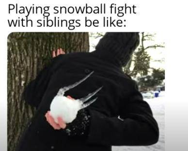 Playing snowball fight with siblings be like