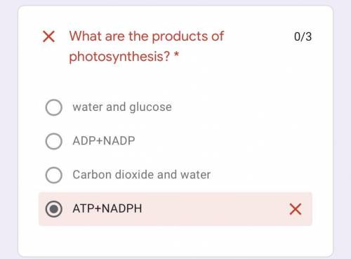What are The products of photosynthesis￼