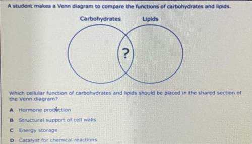 A student makes a Venn diagram to compare the functions of carbohydrates and lipids.

Carbohydrate